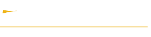 Everfast Fiber Networks Logo